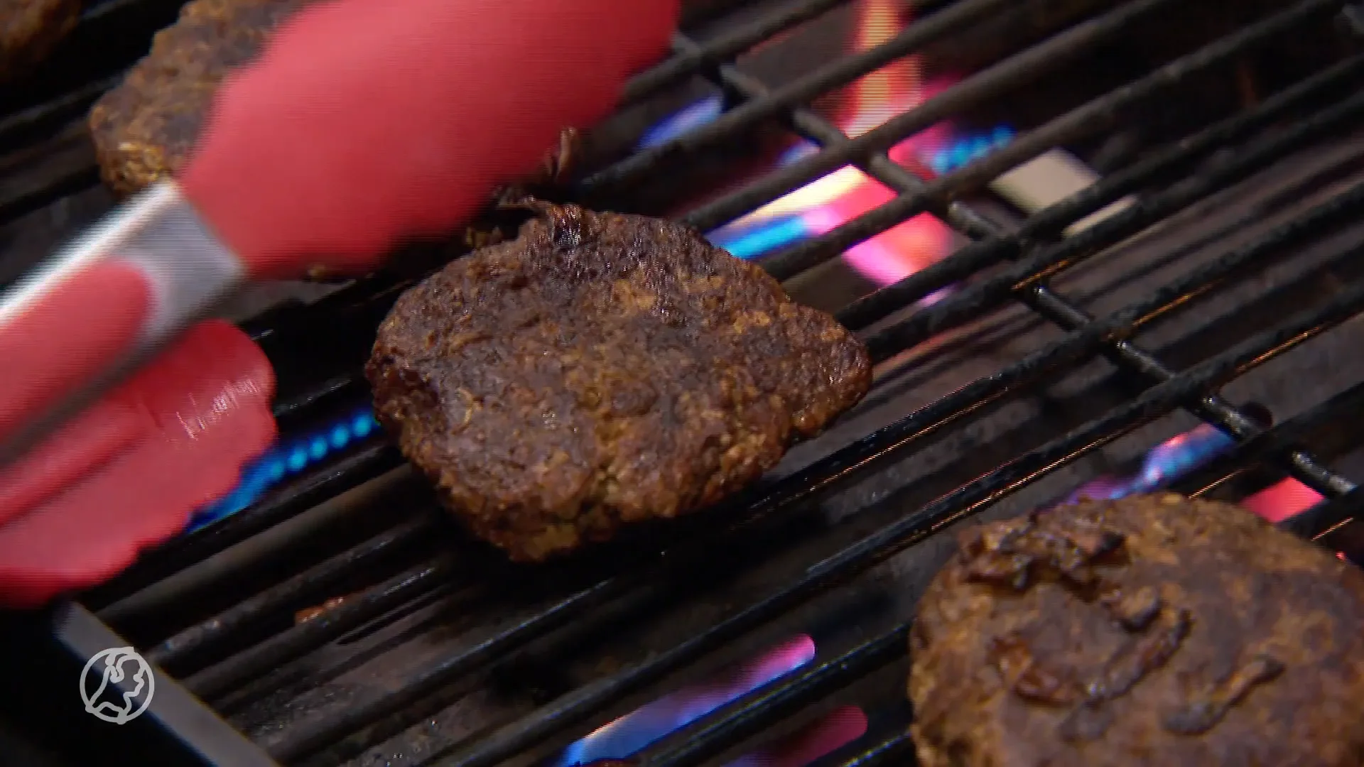 Eten we binnenkort een wormenburger? 'Voedingswaarden lijken ideaal'