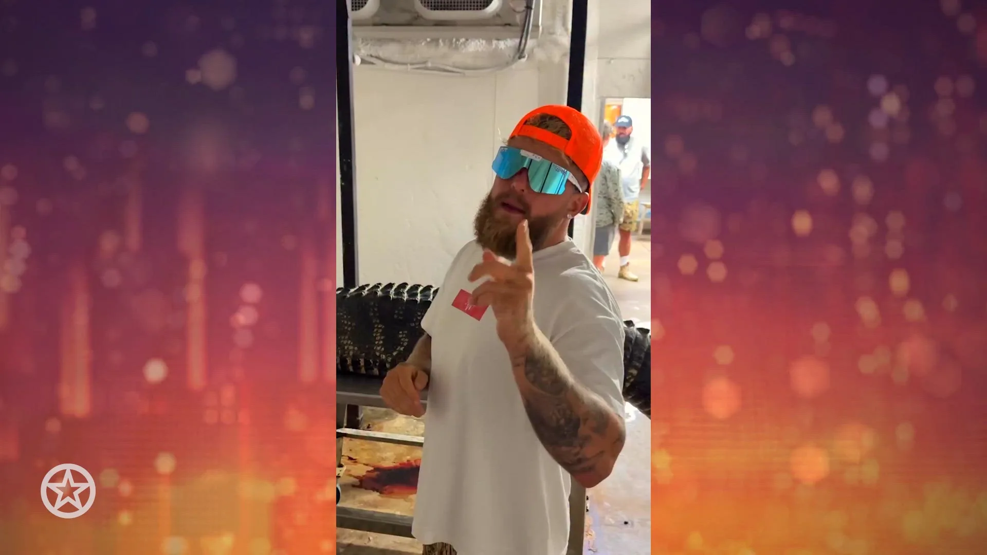 Jake Paul doodt alligator voor boksoutfit