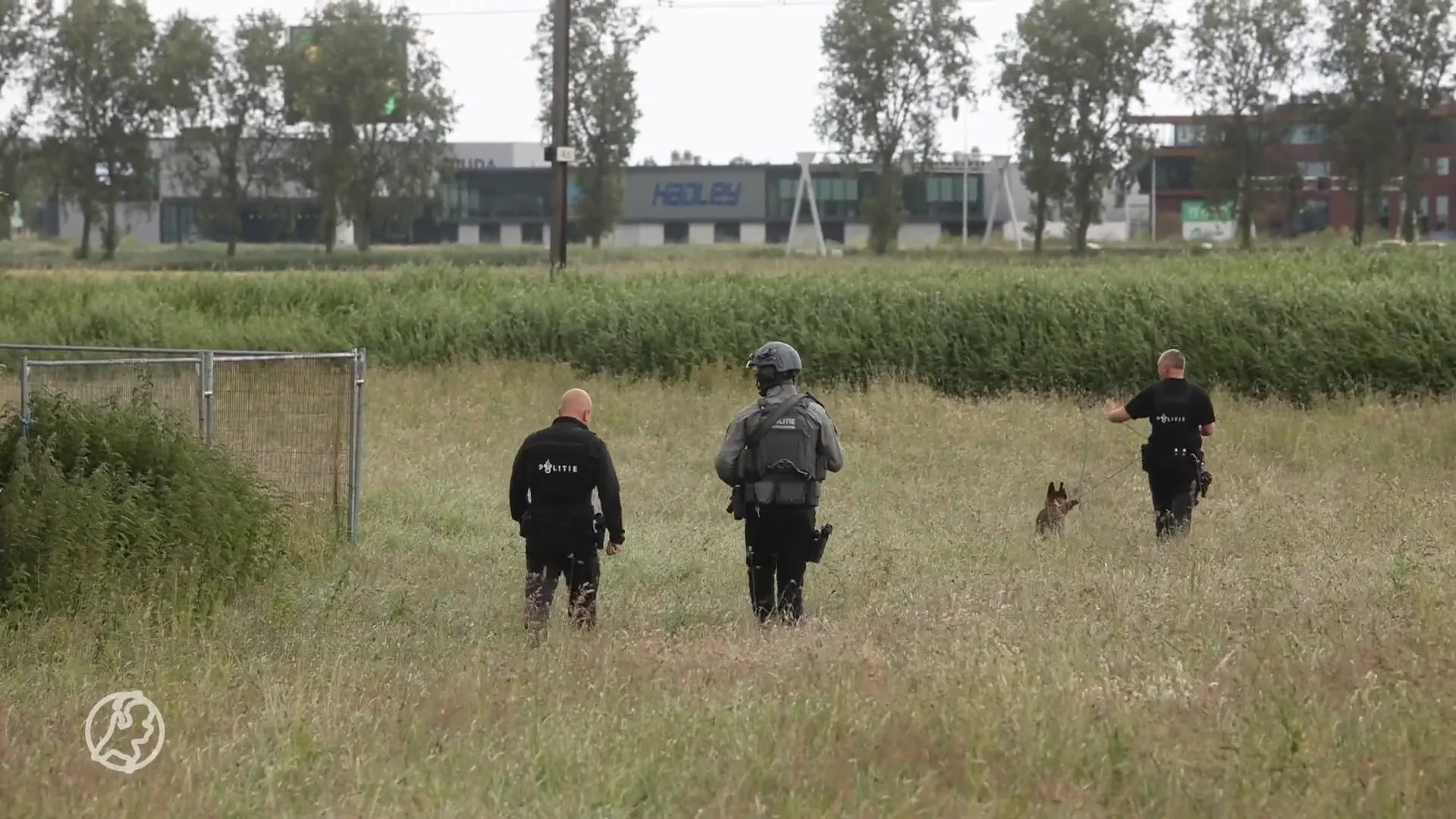 Politie zoekt in weiland naar vuurwapengevaarlijke verdachten schietincident Rotterdam