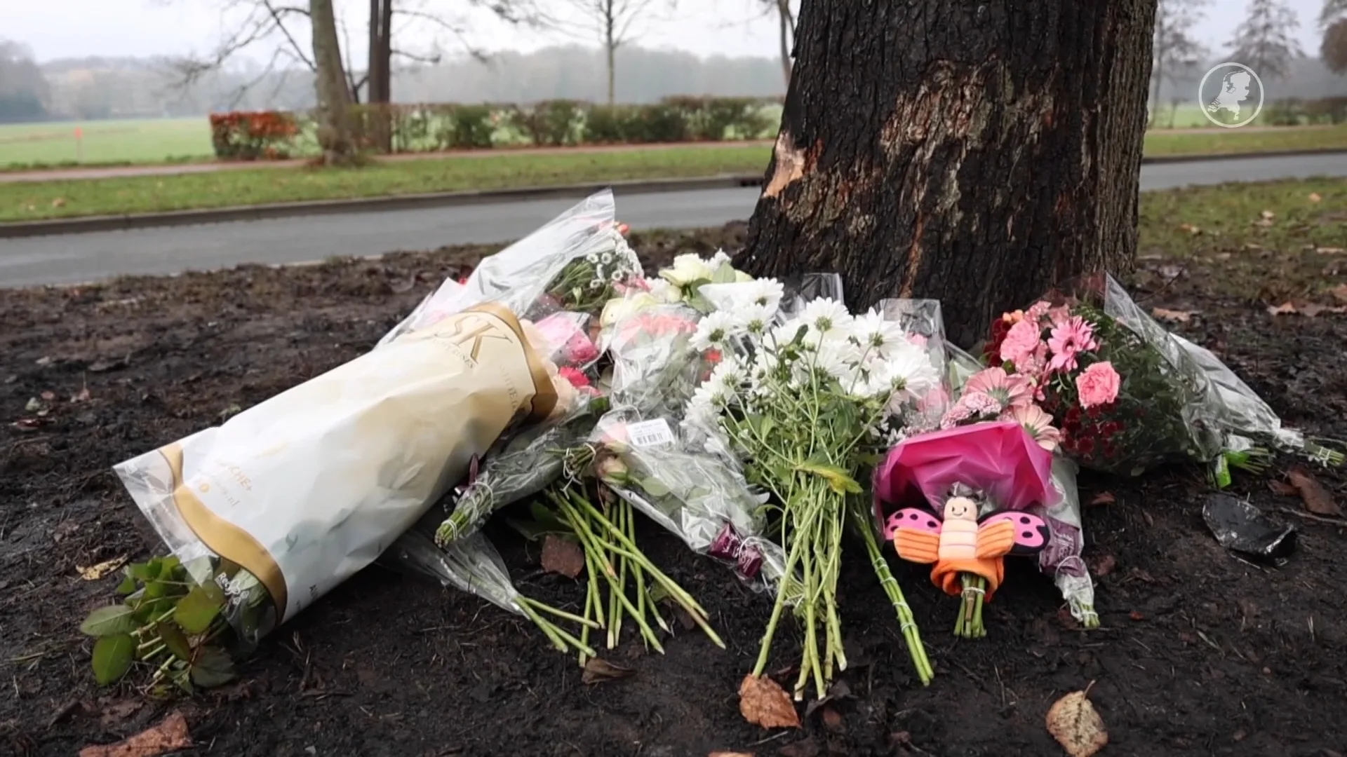 Bloemen neergelegd bij plek van ongeluk crash politieachtervolging Den Haag