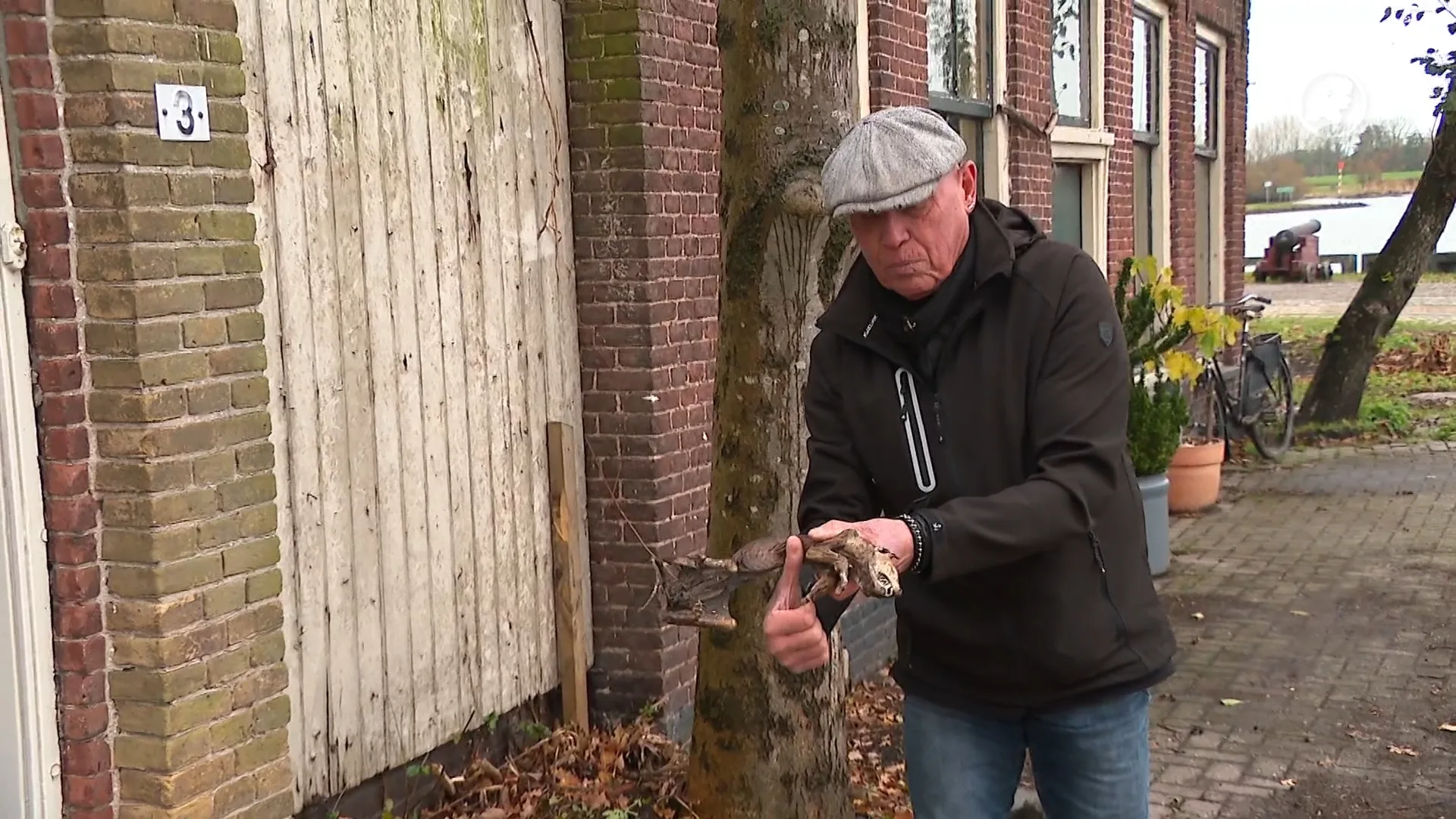 Kampenaar vindt gemummificeerde steenmarter: 'Te bijzonder voor de milieustraat'