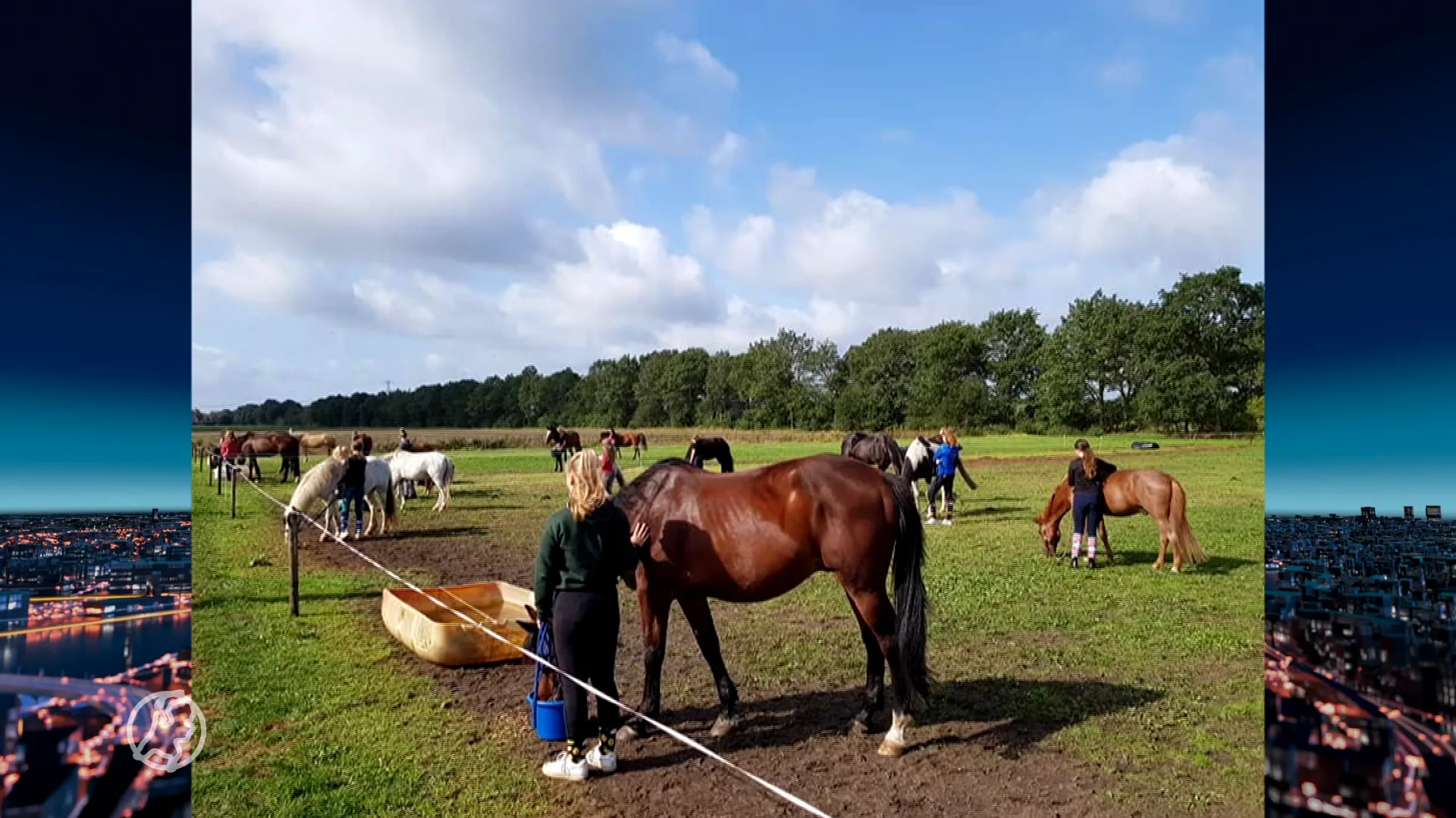 Ponykampen in Zwiggelte afgezegd vanwege wolf