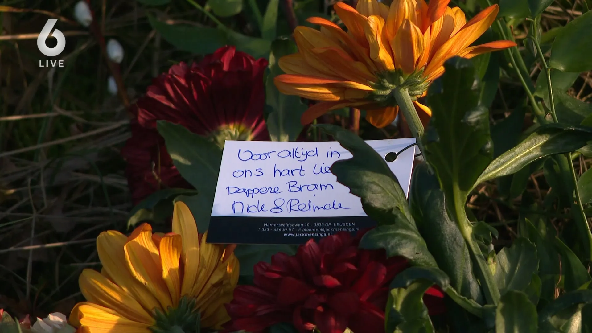 Verslaggever herdenkt duizenden gedode schapen tijdens herdenking wolf Bram