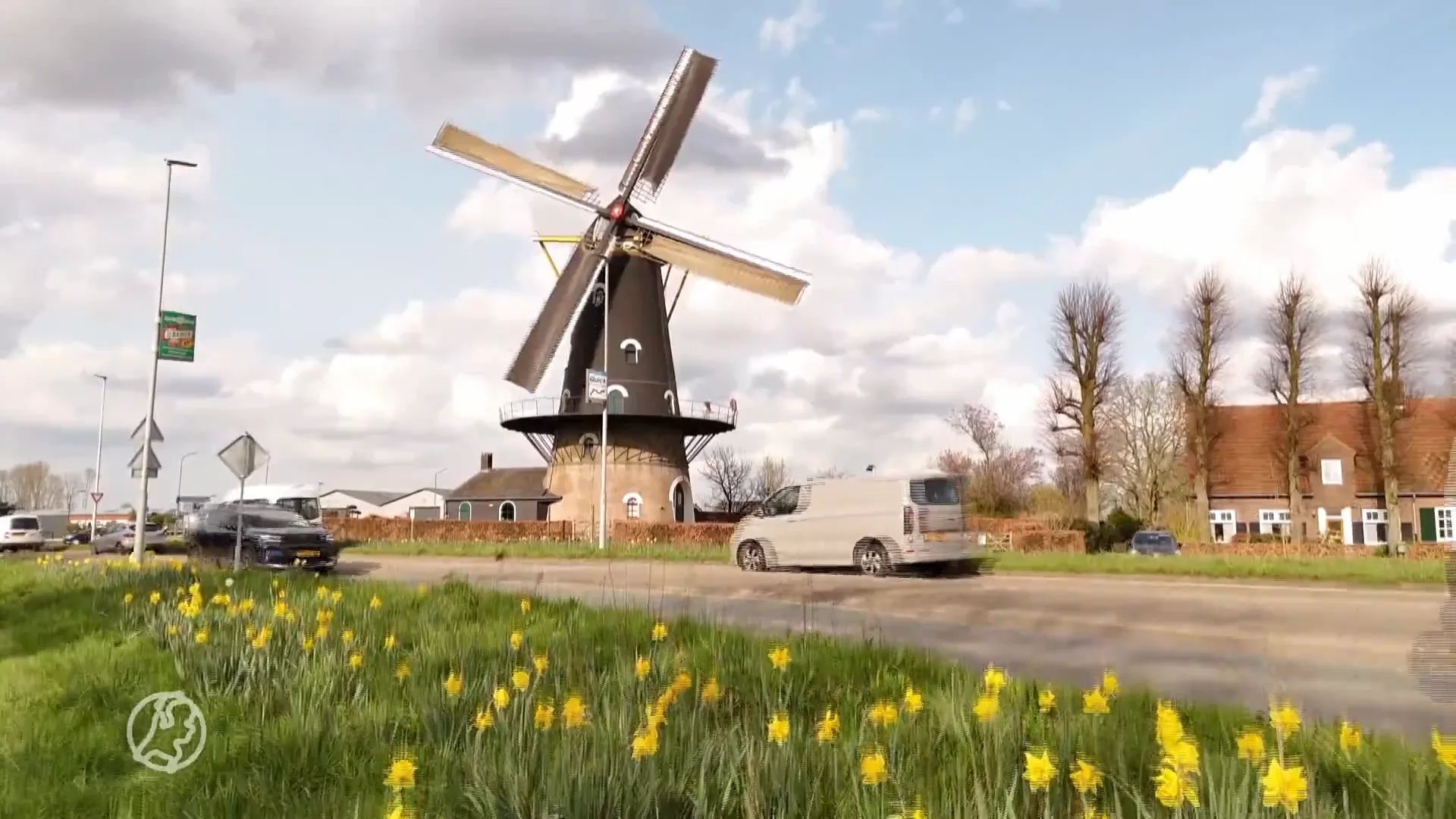 Lammetjes, kuikens, narcissen en tulpen: de astronomische lente is begonnen