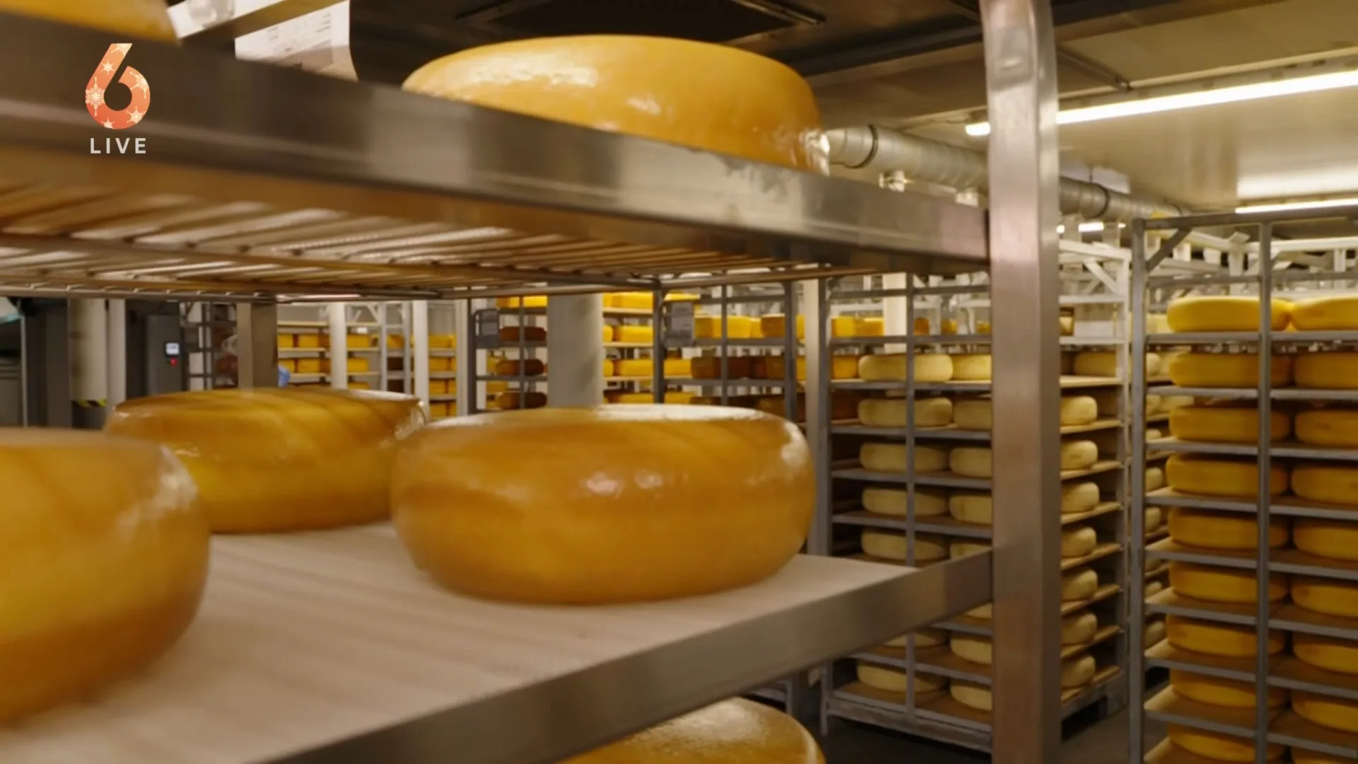 Pijnlijk: de beste Goudse kaas ter wereld komt niet uit Nederland