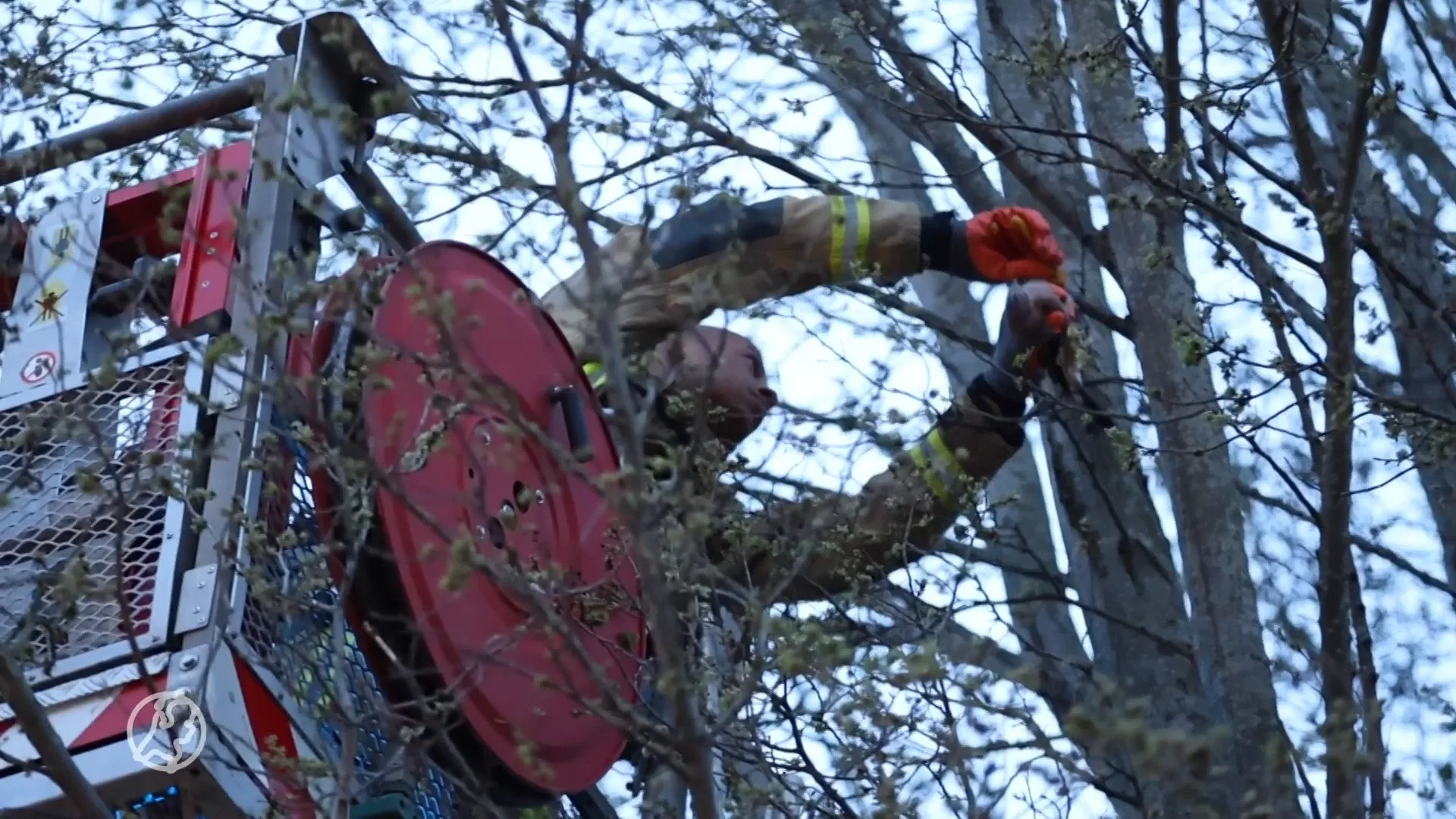 Vogel raakt verstrikt in visdraad, brandweer schiet te hulp