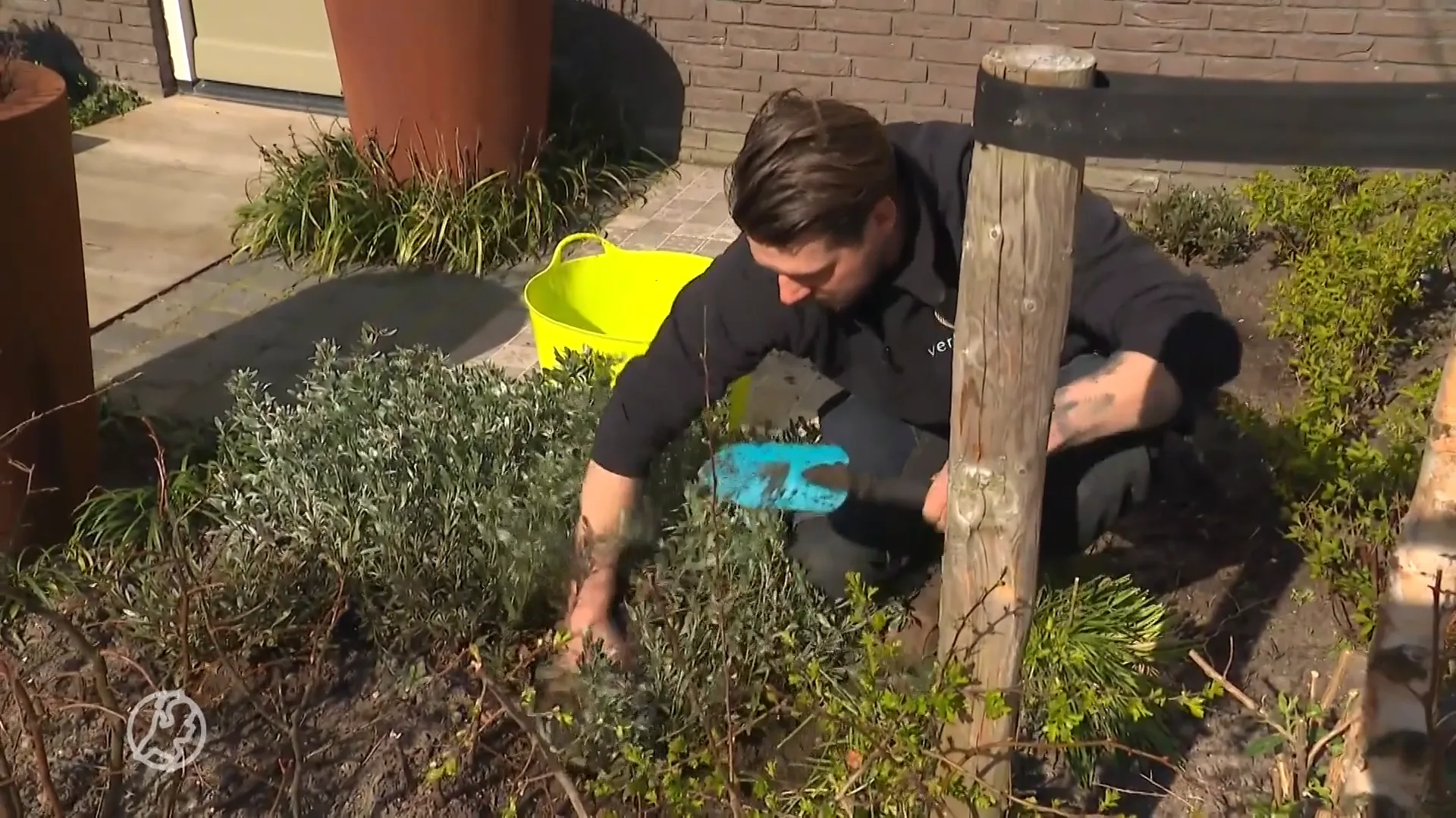 Hovenier Martijn geeft tips om tuin lenteklaar te maken