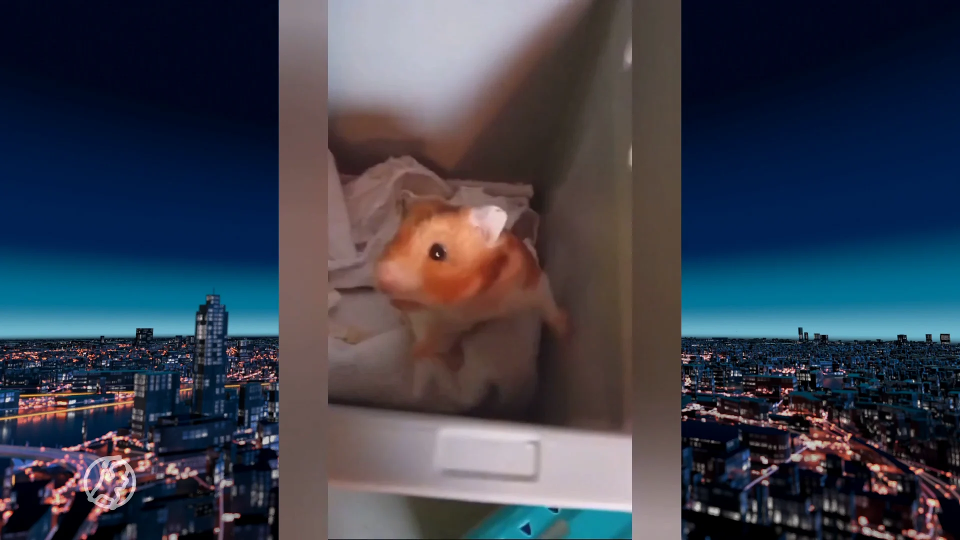 Hamster gered die al tijden onder container vastzat: 'Had nestjes gemaakt om warm te blijven'