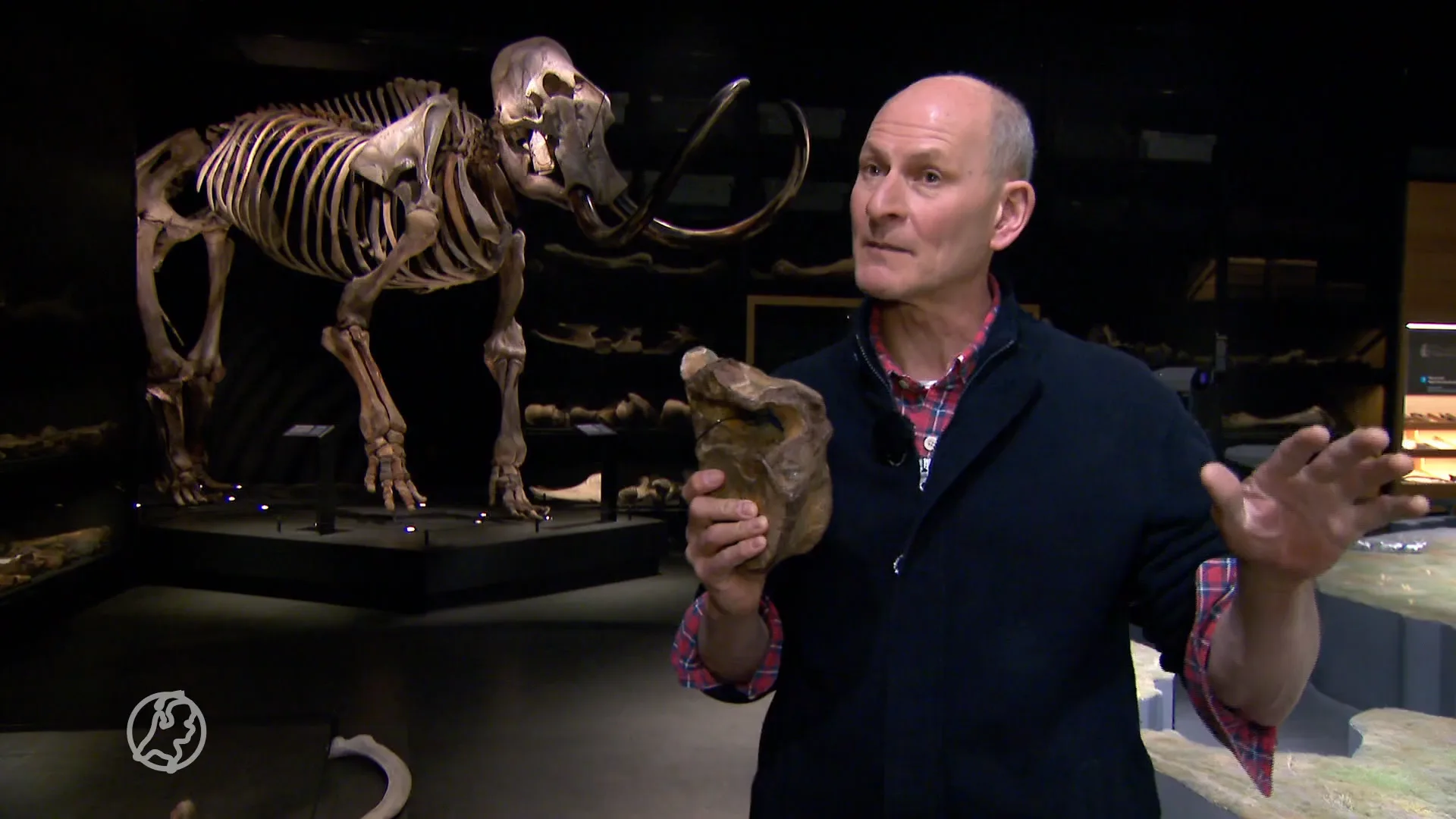 Jarno doet bijzondere ontdekking in de tuin: 'Bijzonder dat het zo groot is'