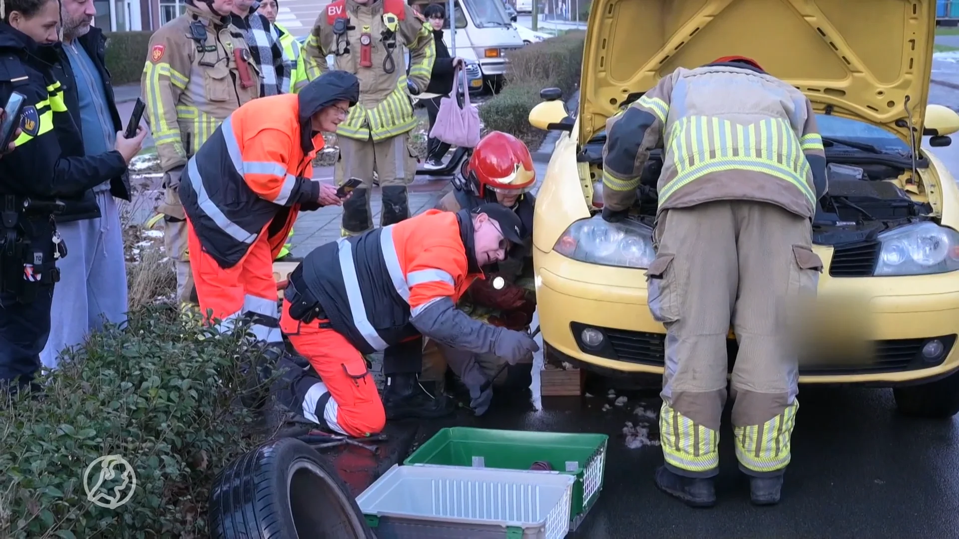 Brandweer haalt kat onder motorkap vandaan