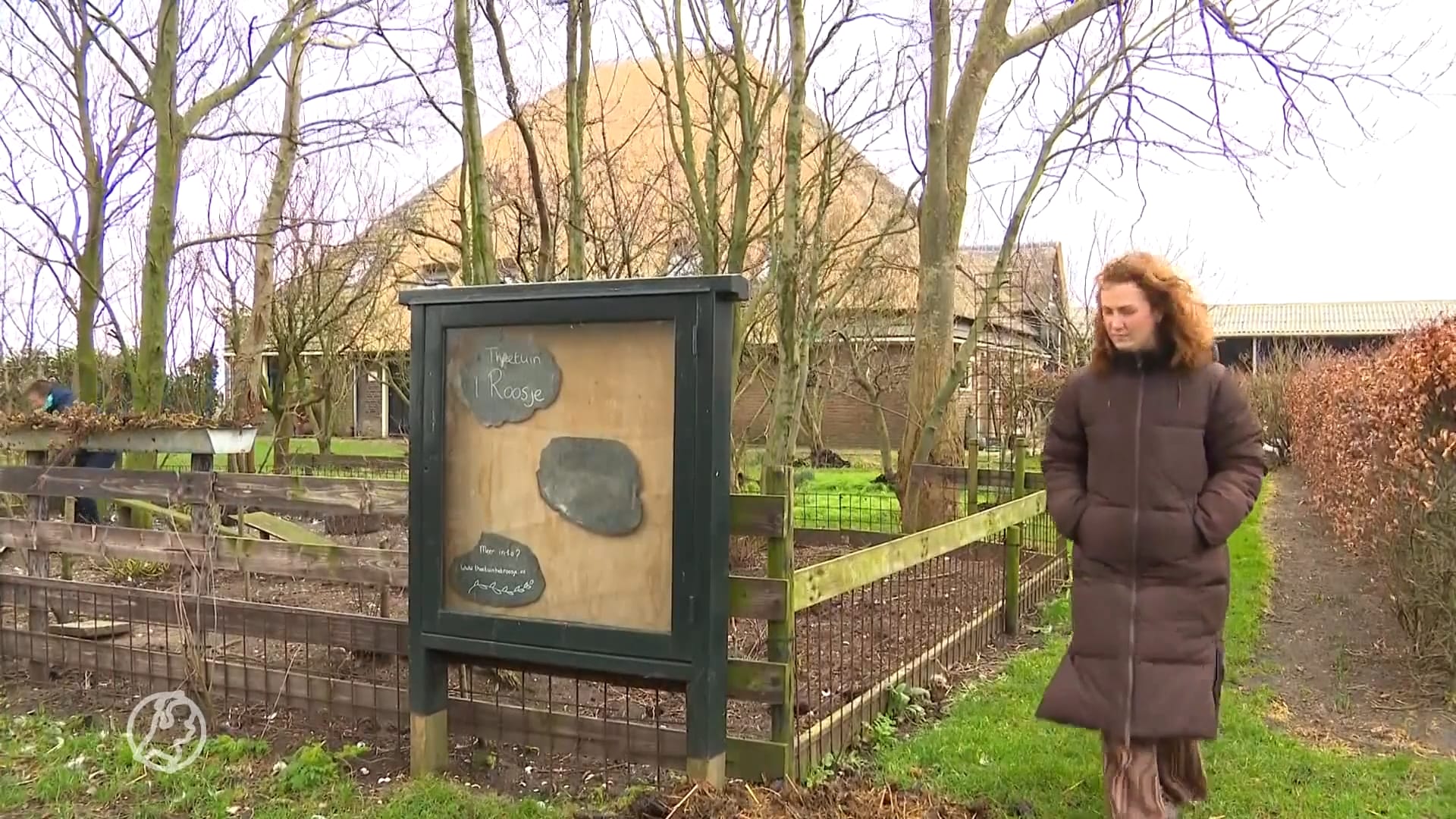 Betutteling boeren op Texel, sluiting theetuin 'Enorm flauw'
