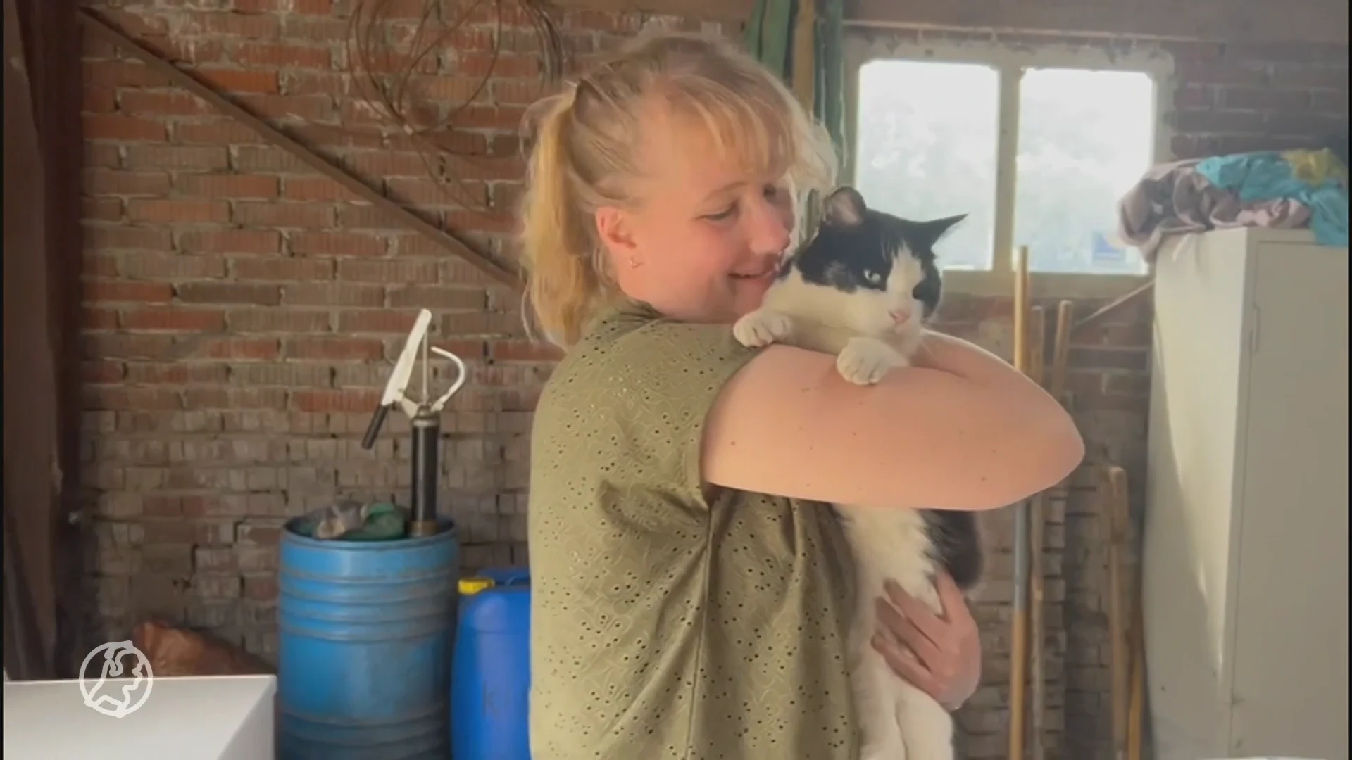 Amelandse kat Alfred na twee jaar mysterieus gevonden bij Duitse grens