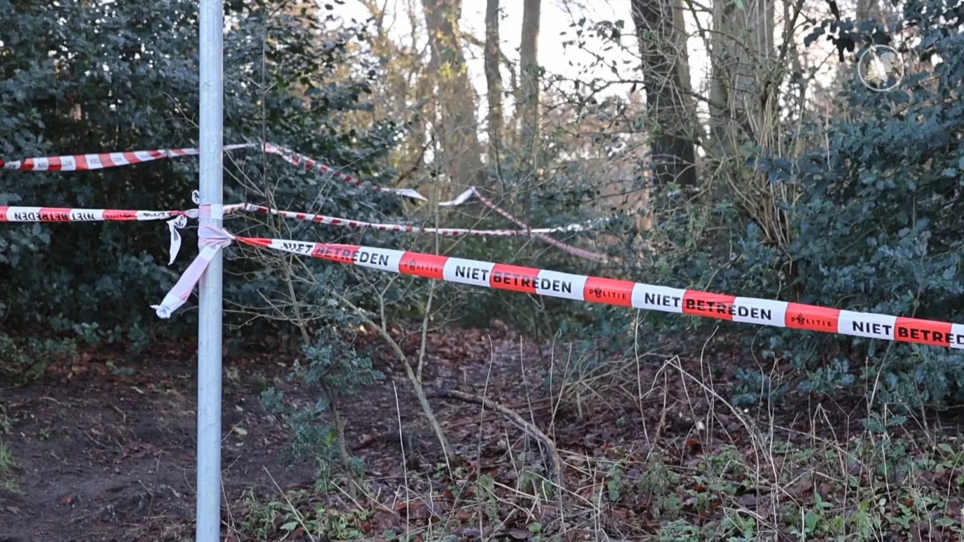 Dode gevonden in bosjes Den Haag, verdachte aangehouden