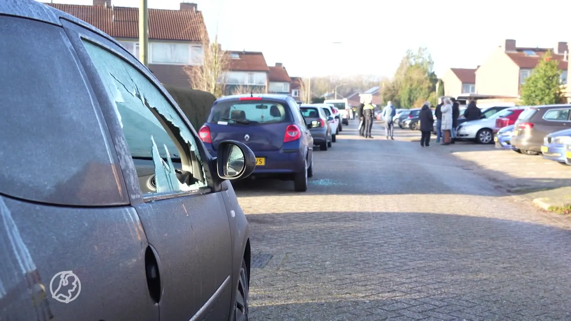 Vandalen slopen massaal auto's in wijk Emmen, politie zoekt daders