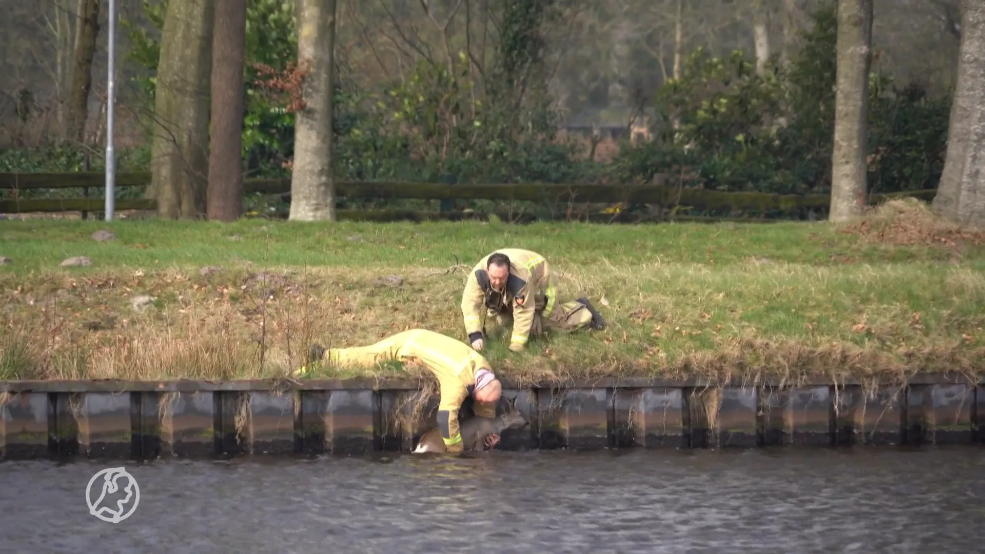 Meerdere reëen vallen in kanaal bij De Punt, een dier verdronken