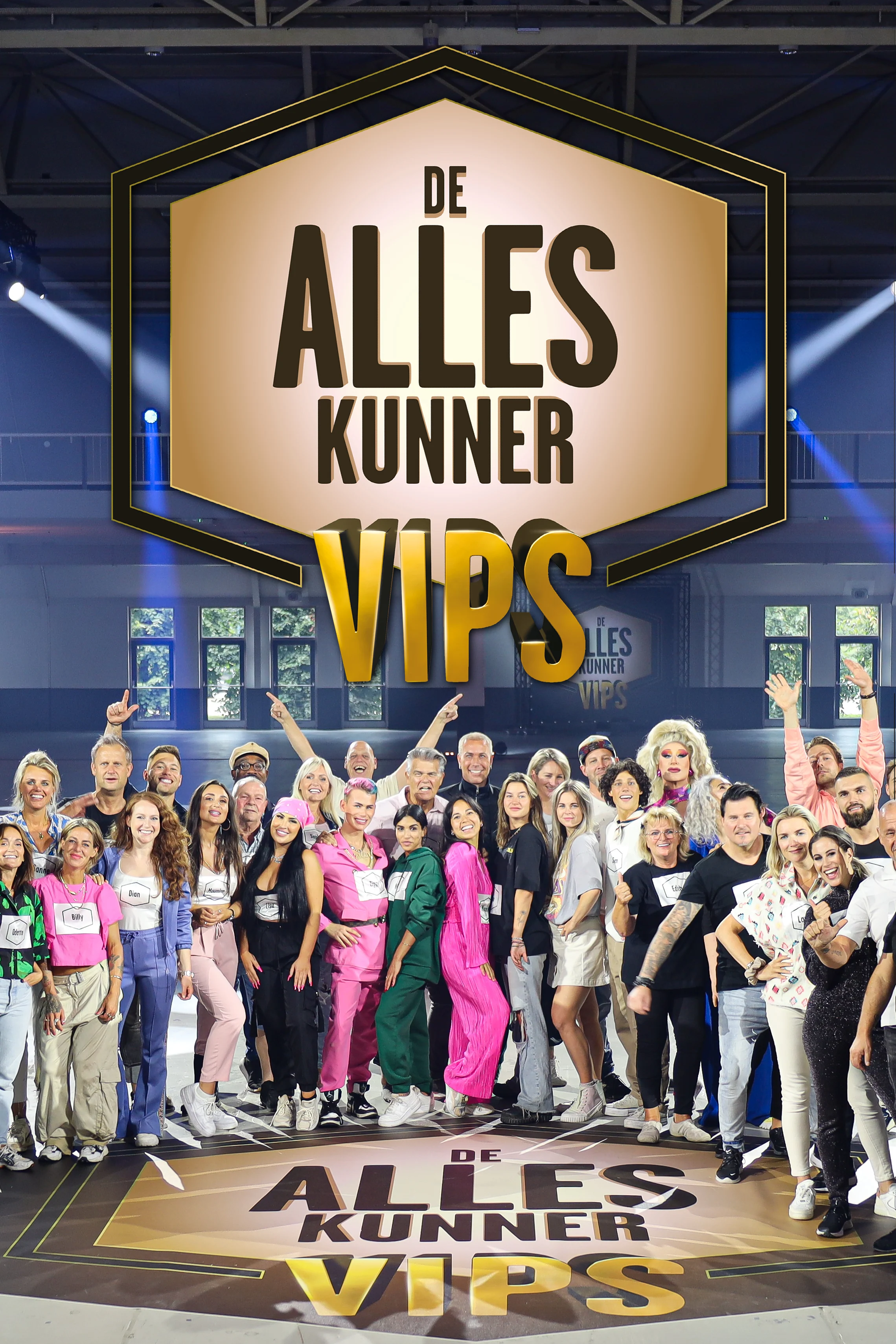 De Alleskunner VIPS