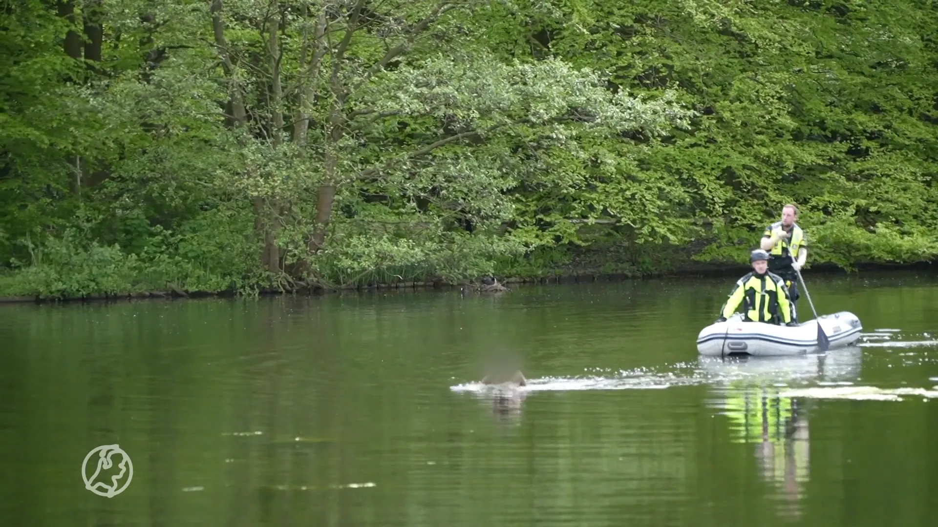 Hulpdiensten hebben handen vol aan verwarde man in water