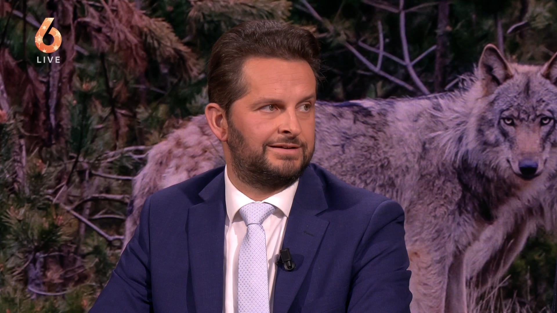 De tijd van natuurromantiek is voorbij: SGP wil harde maatregelen tegen wolf