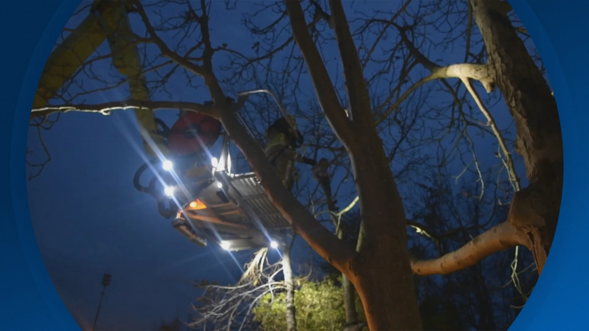 Seizoen 2025, aflevering 316