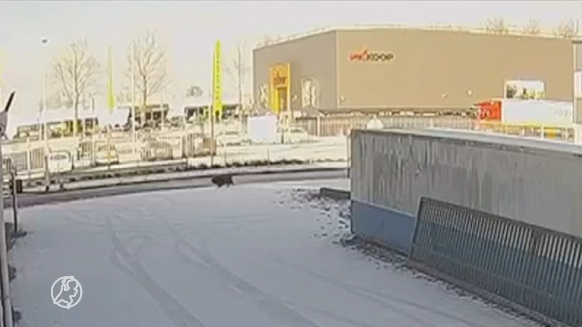 Familie looft 2500 euro uit voor gouden tip vermiste hond Paco