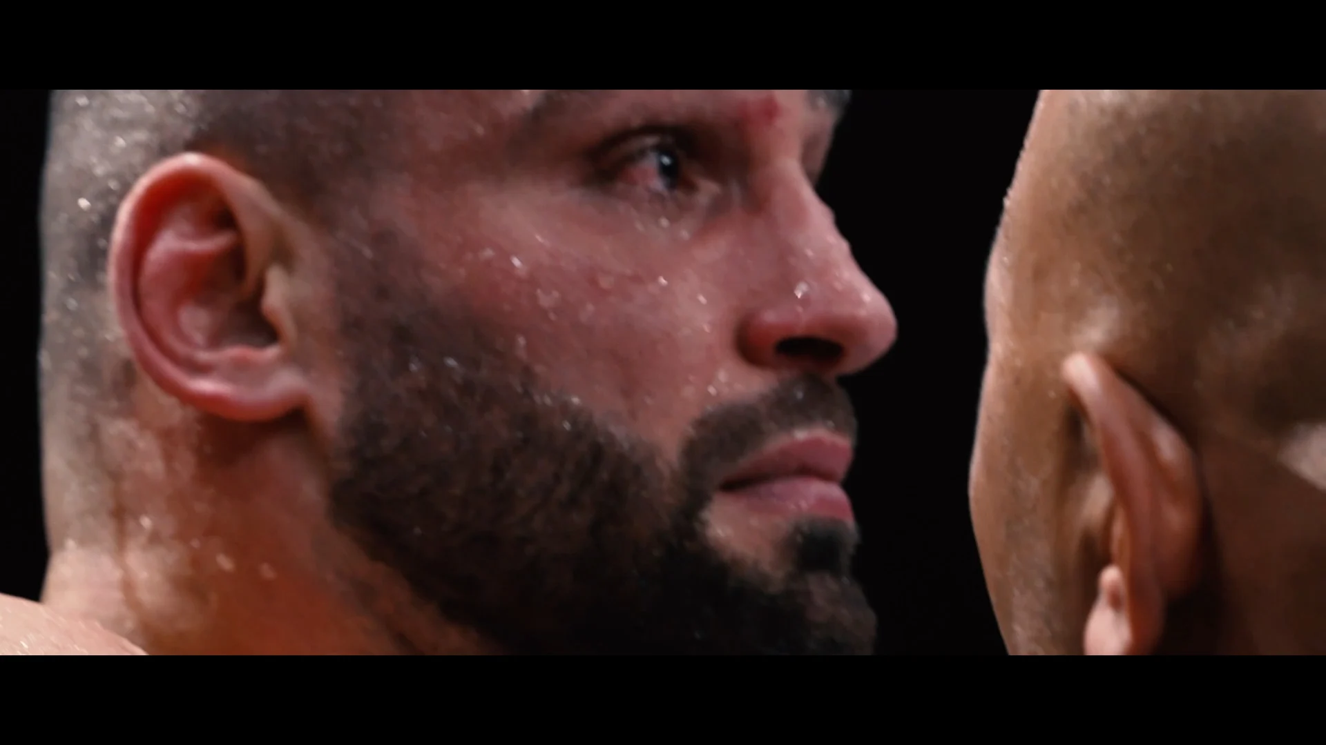 Wie wordt de volgende King of Kickboxing?