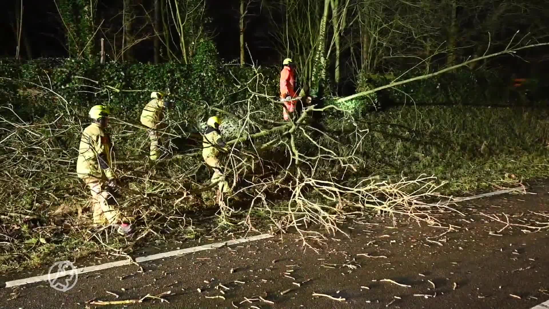 Brandweer rukt uit voor omgewaaide boom op N207 bij Alphen