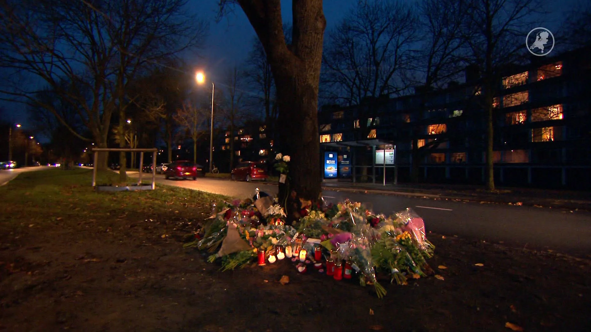 Bloemenzee voor omgekomen vrouwen na crash met auto in Den Haag