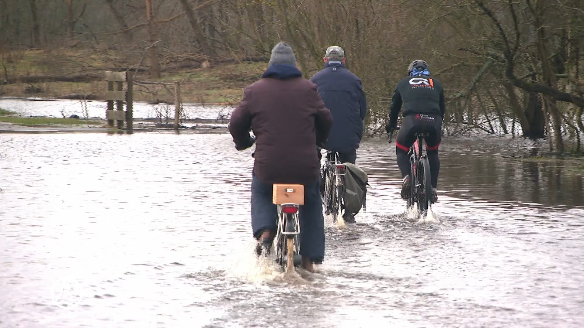 Nog nooit was het zo nat in de Noord-Hollandse duinen