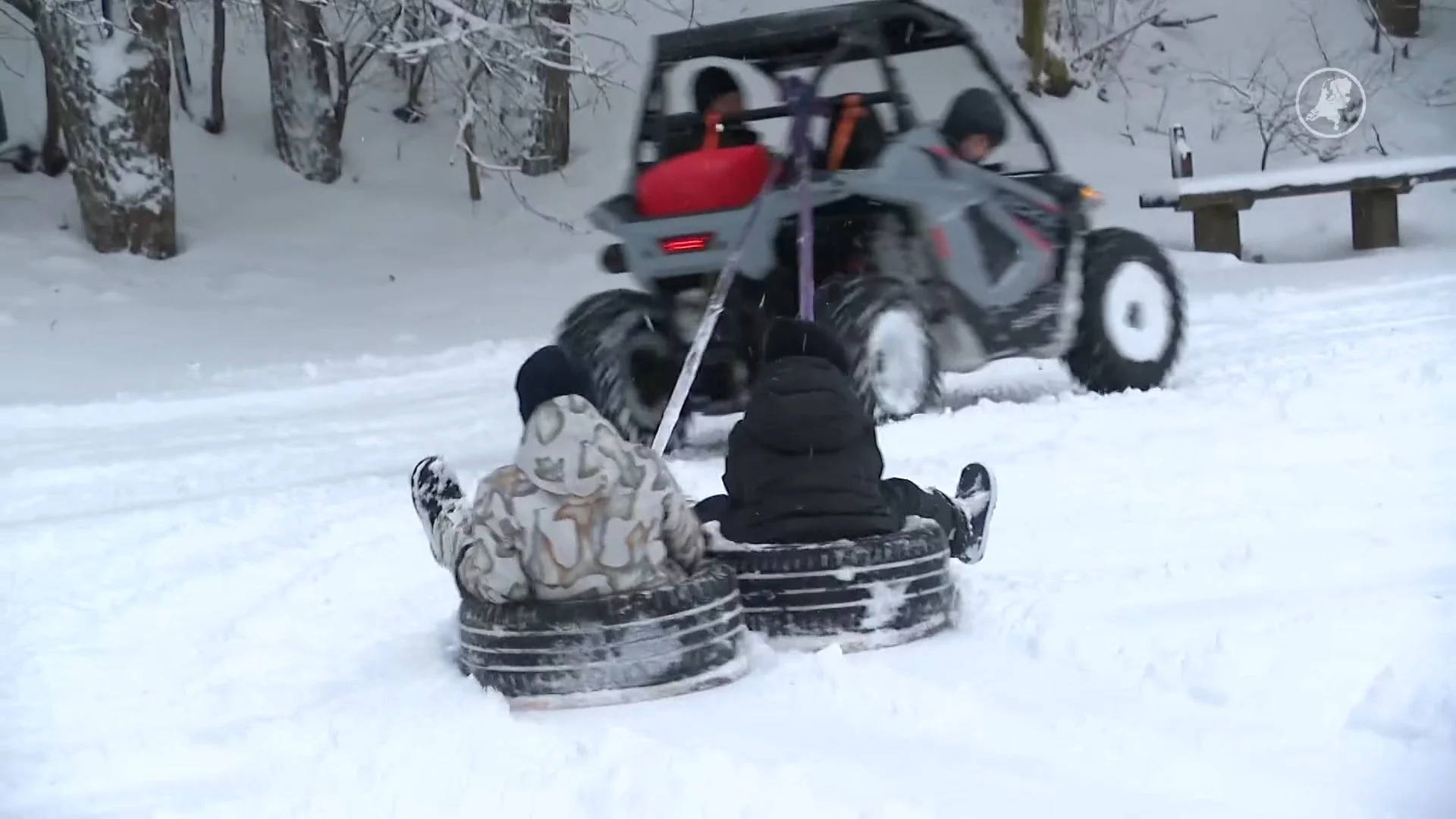 Zien: Families genieten volop van de dikke sneeuwlaag in het bos