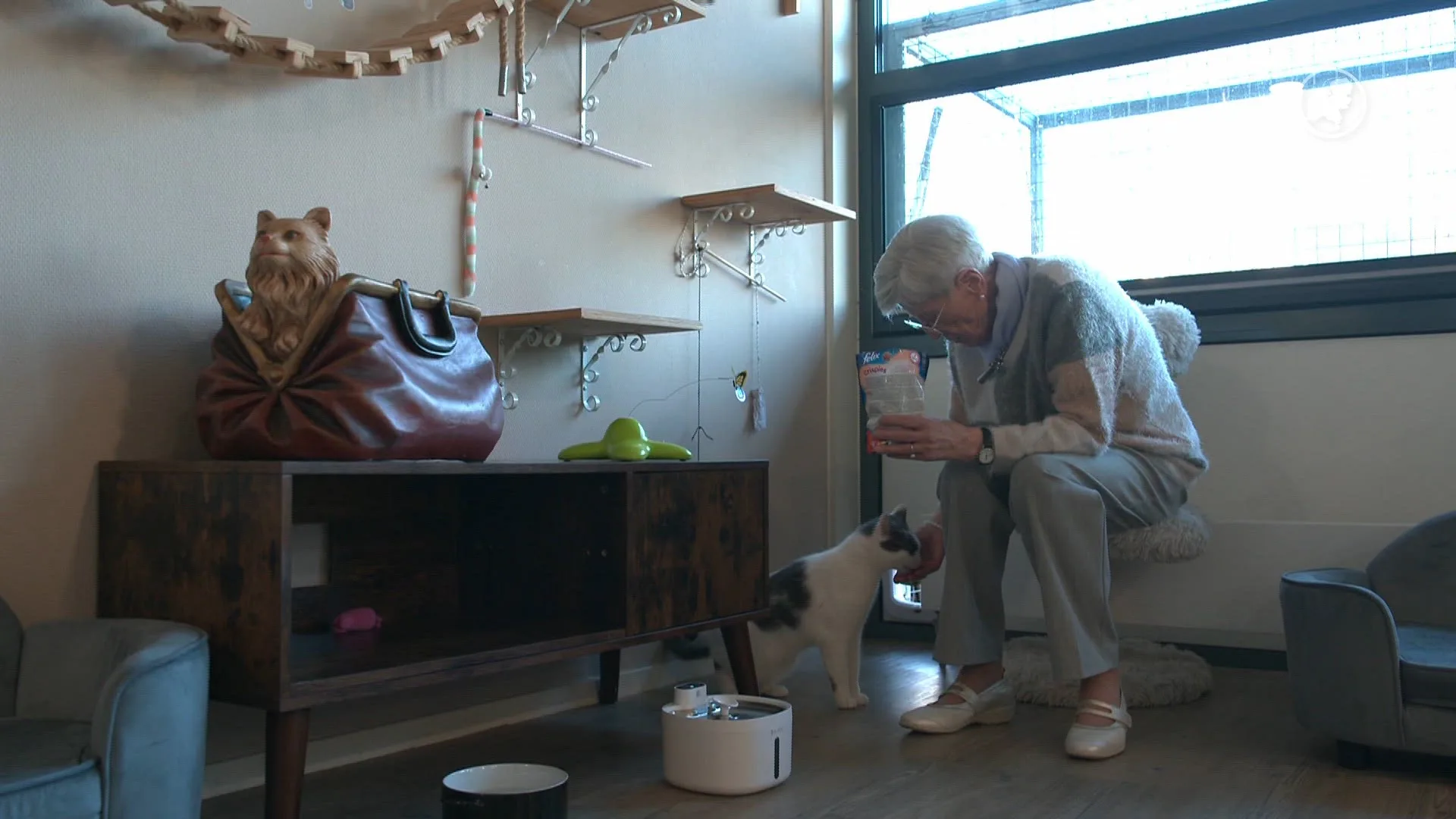 Kattenkamer in woonzorgcentrum Amersfoort