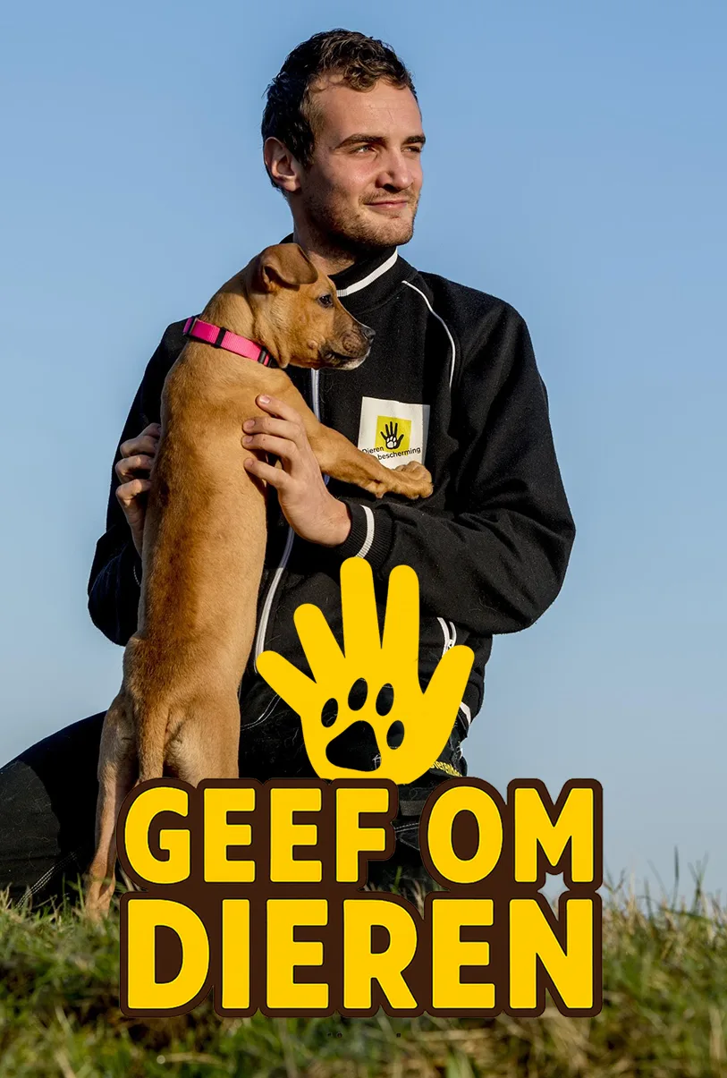 Geef om dieren
