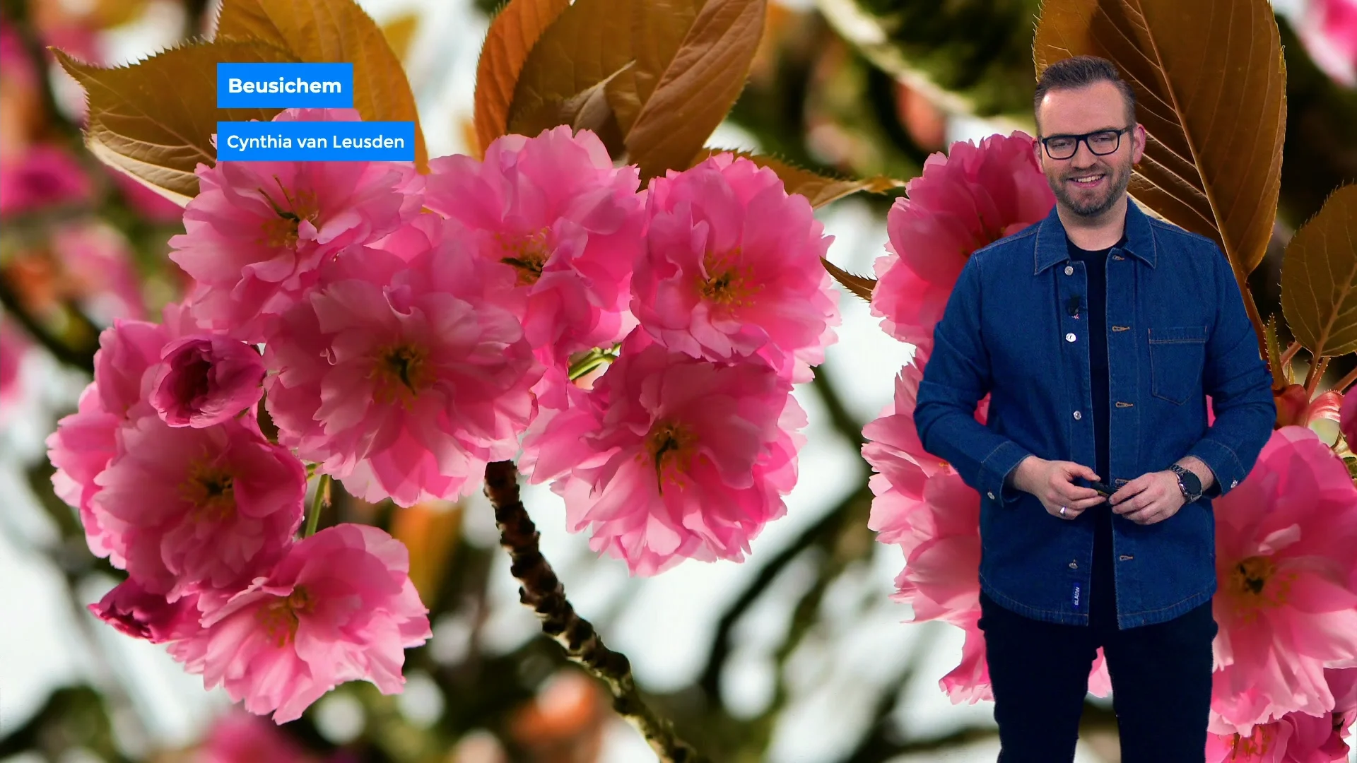 Regen, onweer en windstoten na zomers weekend