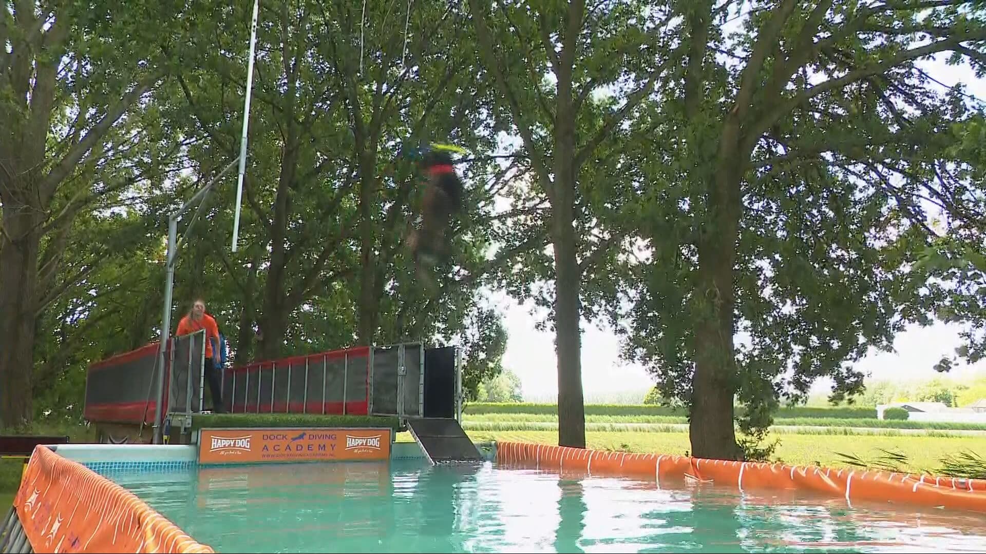 Nieuwe hondensport gaat veel verder dan 'af' en 'pootje'