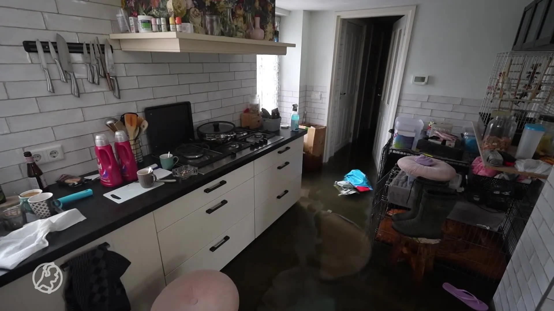 Wateroverlast in zuiden van het land door zware regenbuien, water loopt huizen binnen