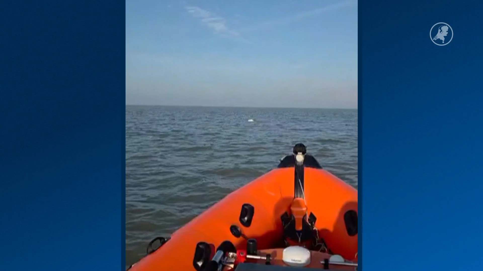 Beloega gespot voor Nederlandse kust