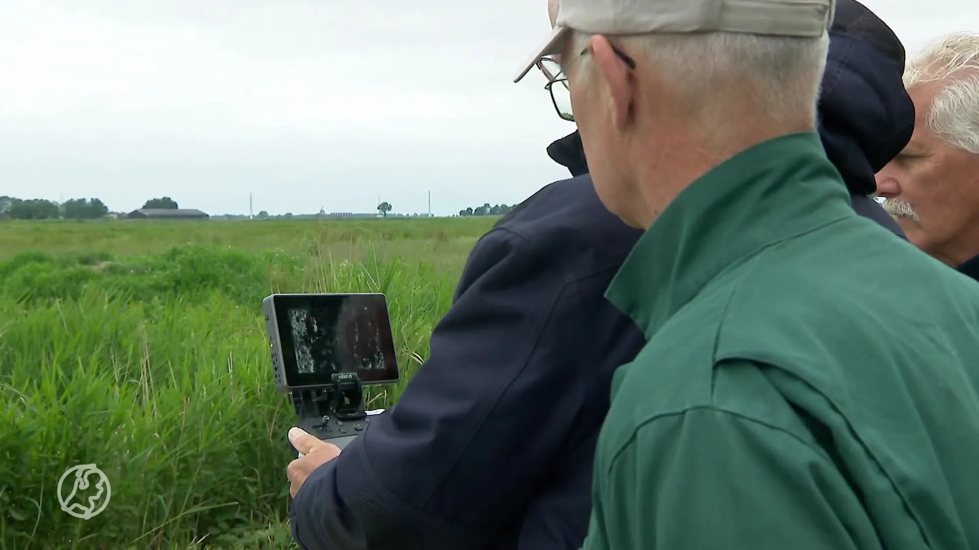 Drones moeten weidevogels beschermen: 'Anders betekent dit het einde'
