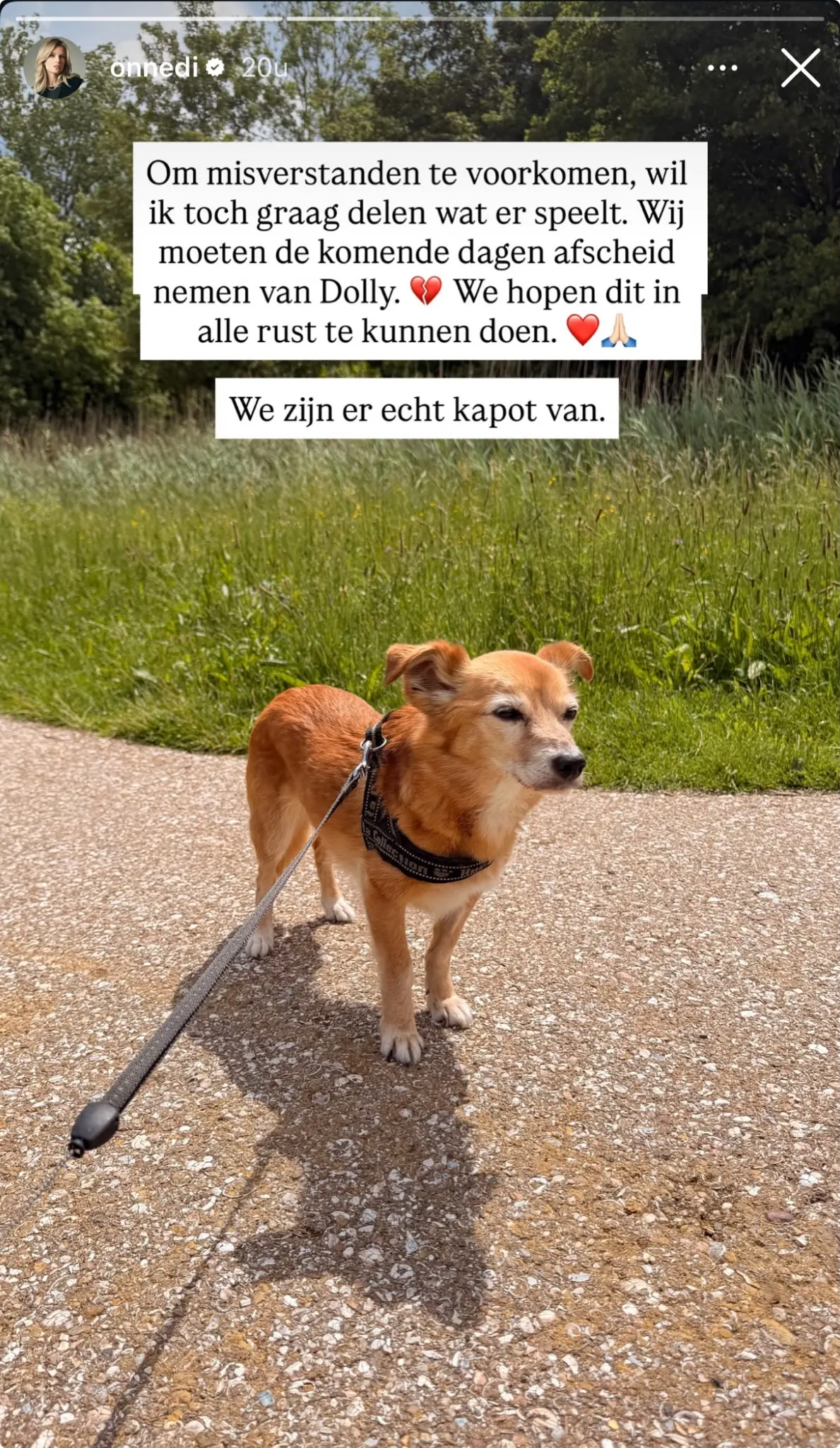 Instagram Dionne Slagter