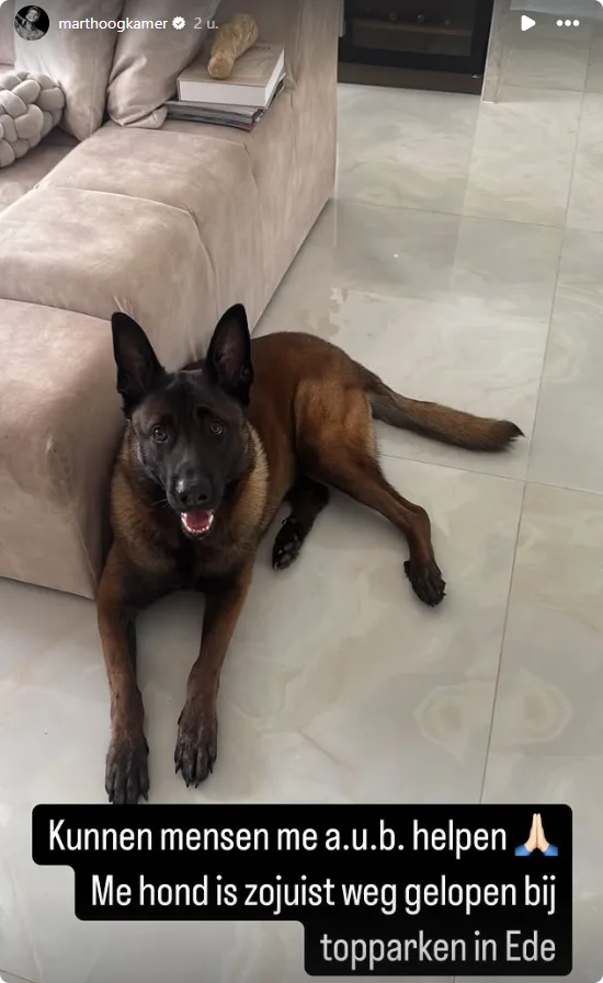 Mart deelt deze oproep op zijn Instagram.