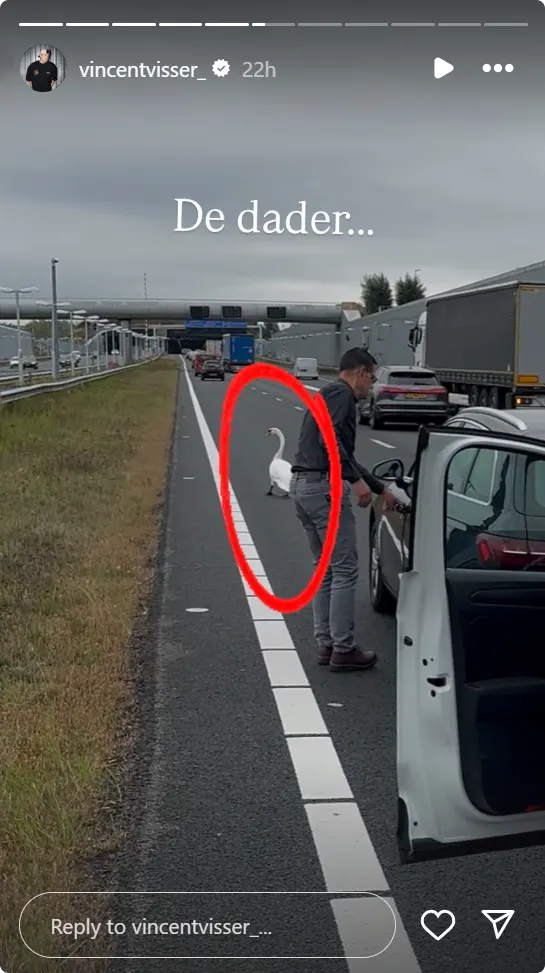 Vincent Visser zwaan ongeluk - bron Instagram.