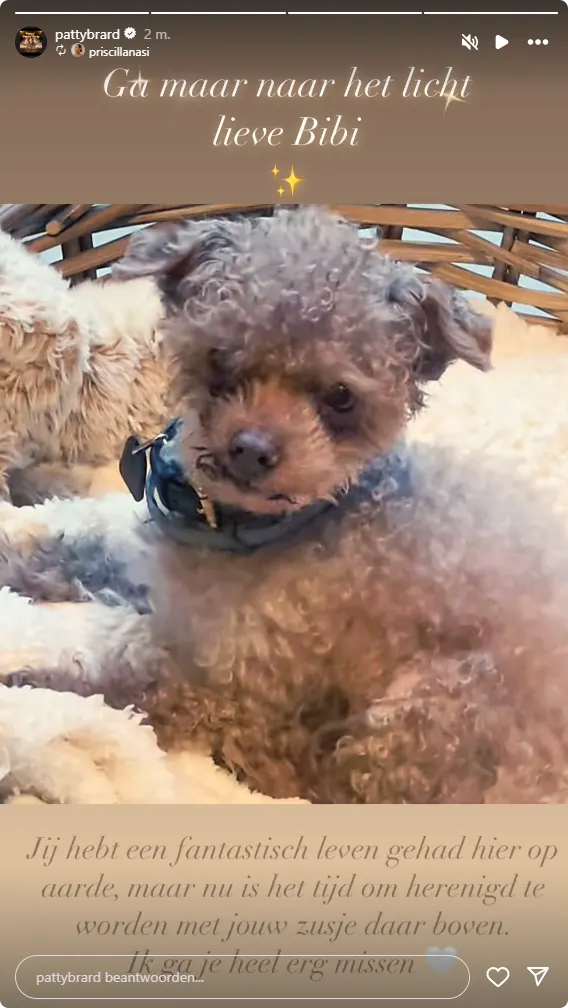 Bron: Instagram Patty Brard