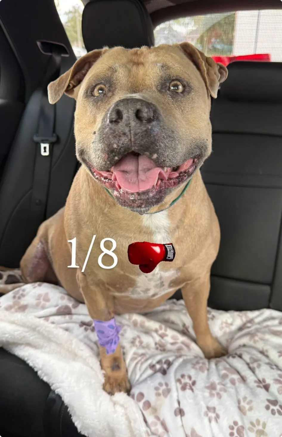 Bron: Instagram Monique Westenberg