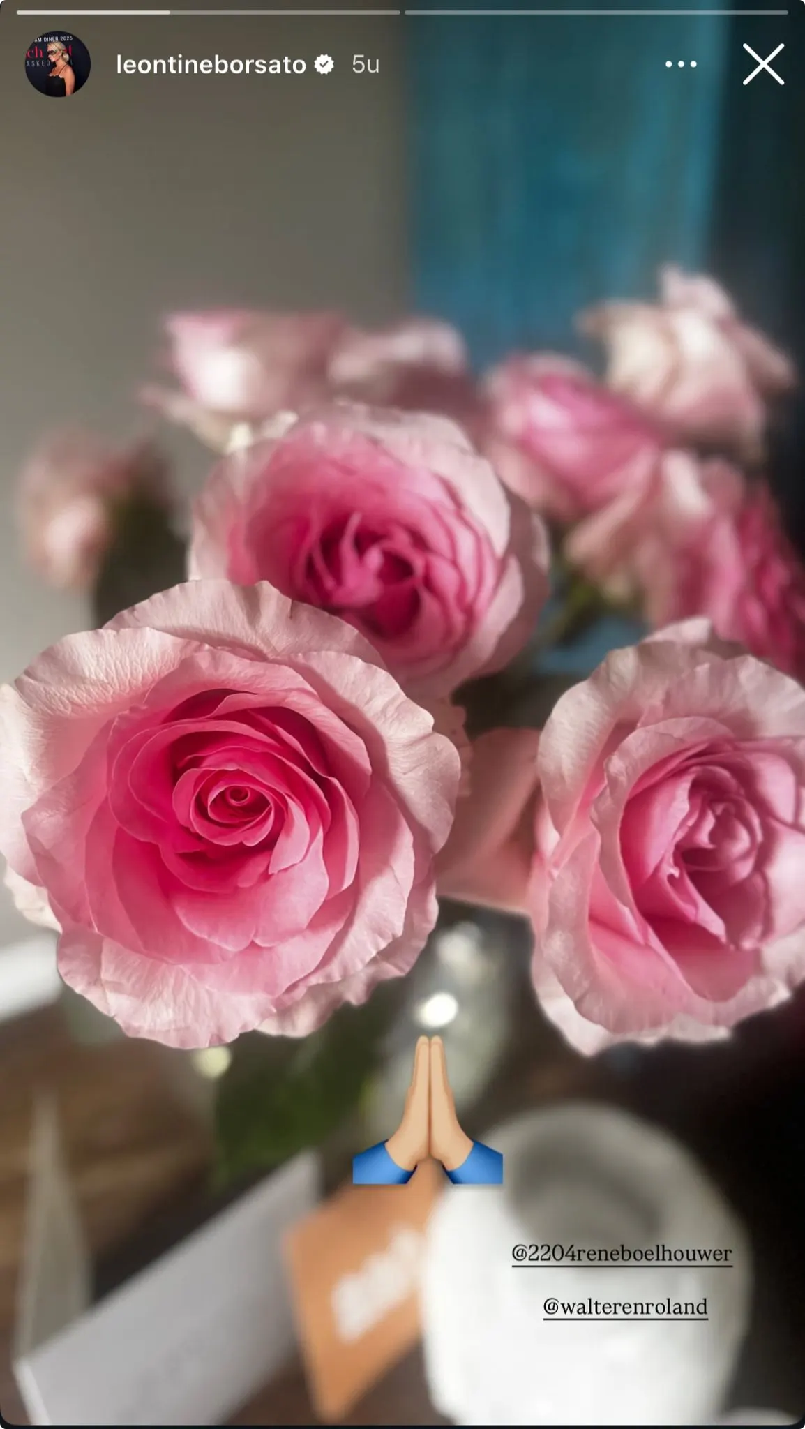 Leontine Ruiter story roze rozen