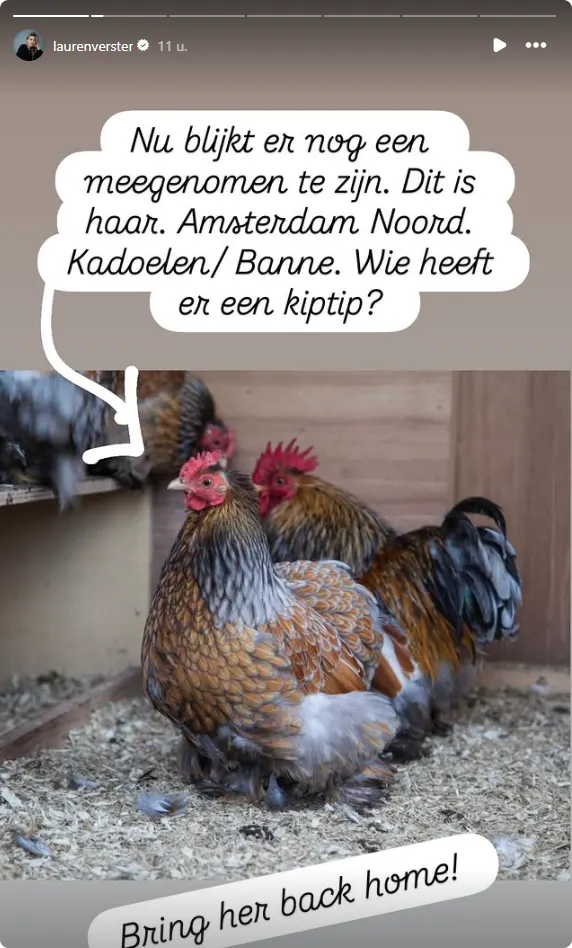 De vermiste kip van Lauren Verster.