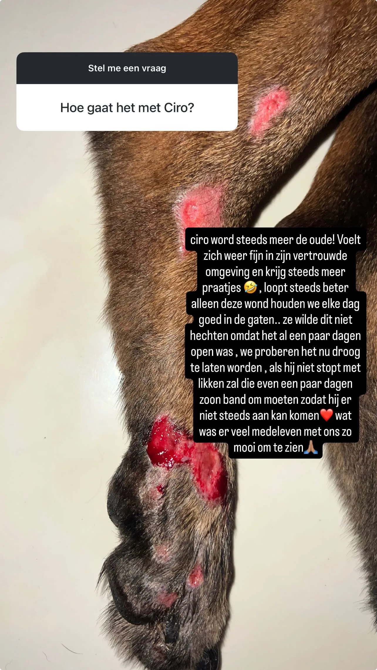 Bron: Instagram Jennifer van Ooijen