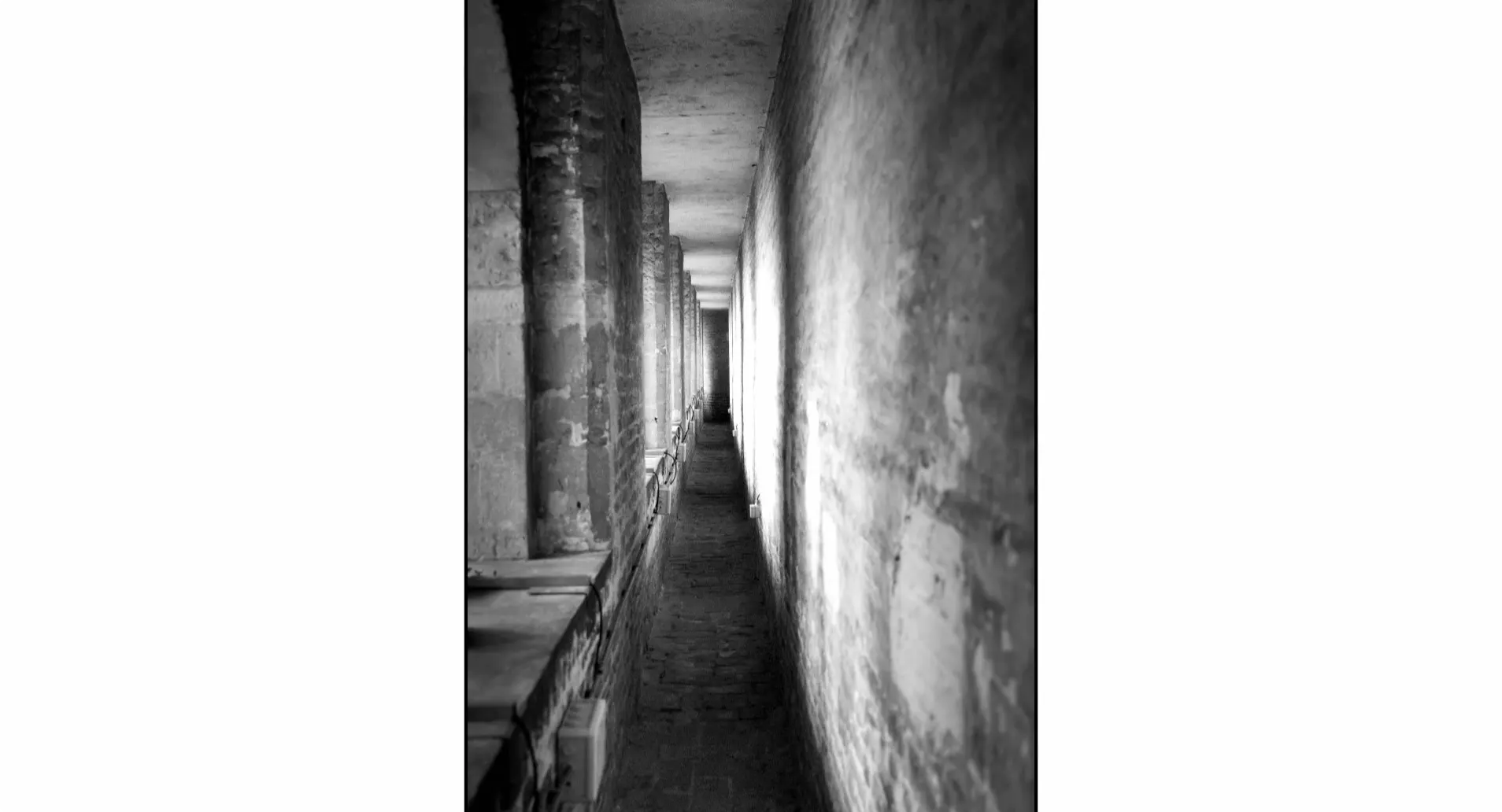 De winnende foto van Caroline - Bron: RTL