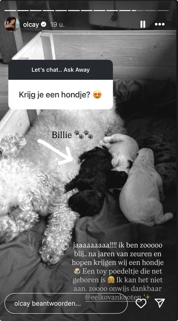 Bron via Instagram: Olcay Gulsen