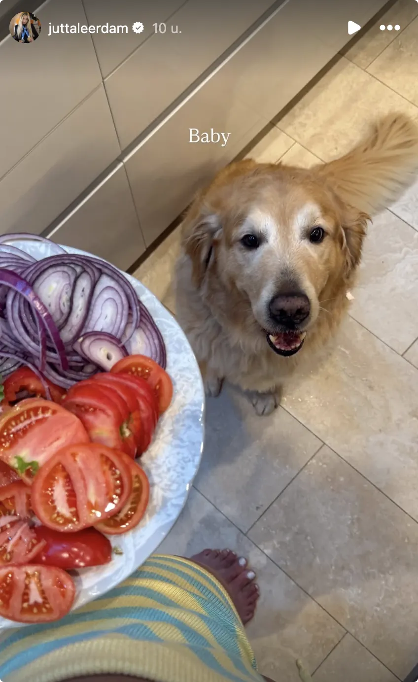 Bron: Instagram @juttaleerdam