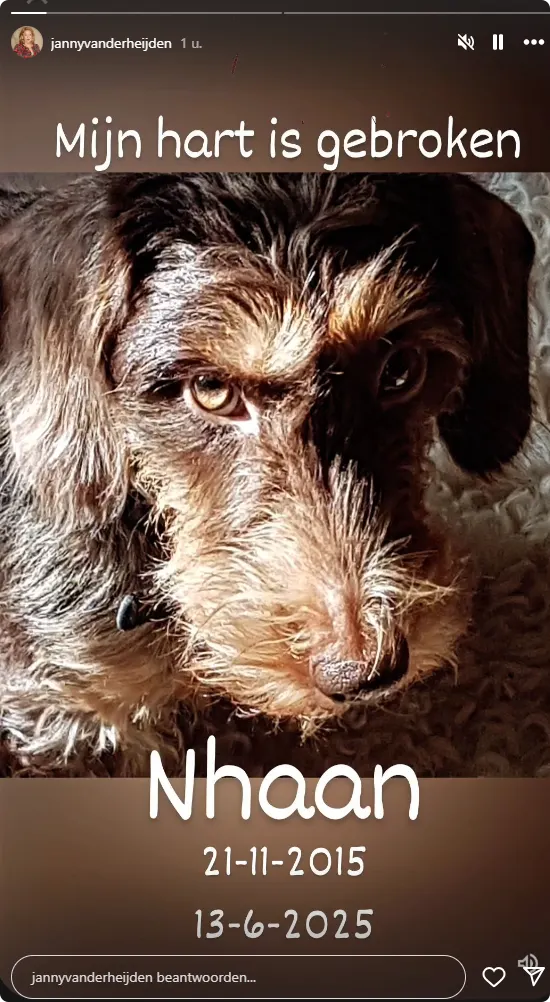 Bron: Instagram Janny van der Heijden