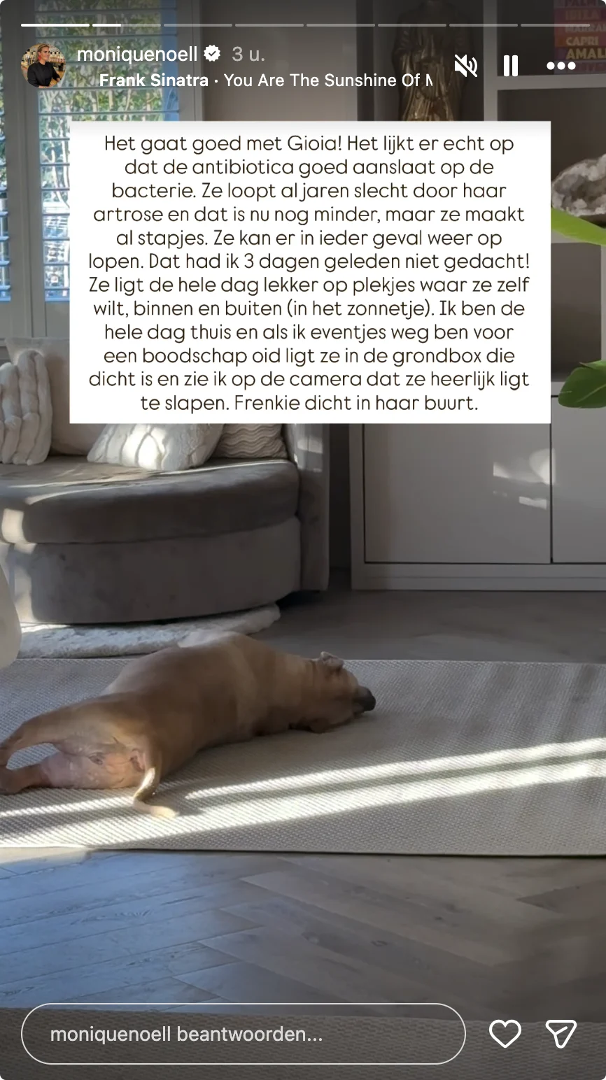 Bron: Instagram Monique Westenberg