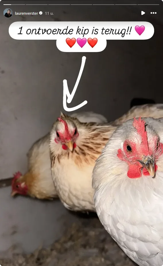 Een van de kippen is terecht.
